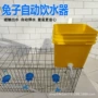 自动啃咬防漏兔子饮水碗