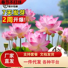 һlɻˮBʳ^pɏźNɏ˯ɏܷNˮ