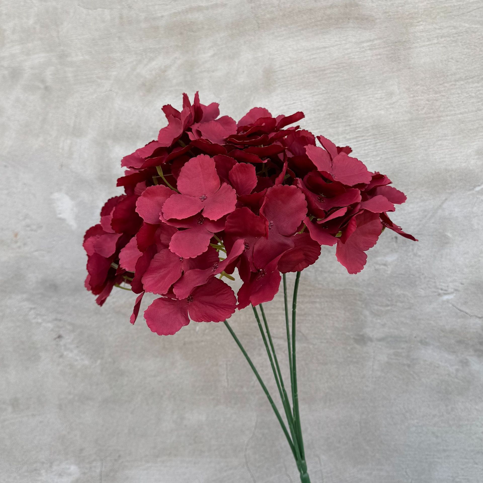 5-pronged hydrangea--burgundy