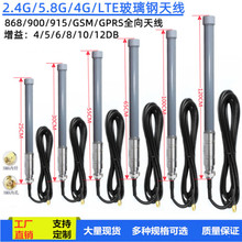 2.4G4G LTE GSM3G室外全向玻璃钢天线高增益DTU基站智能井盖天线