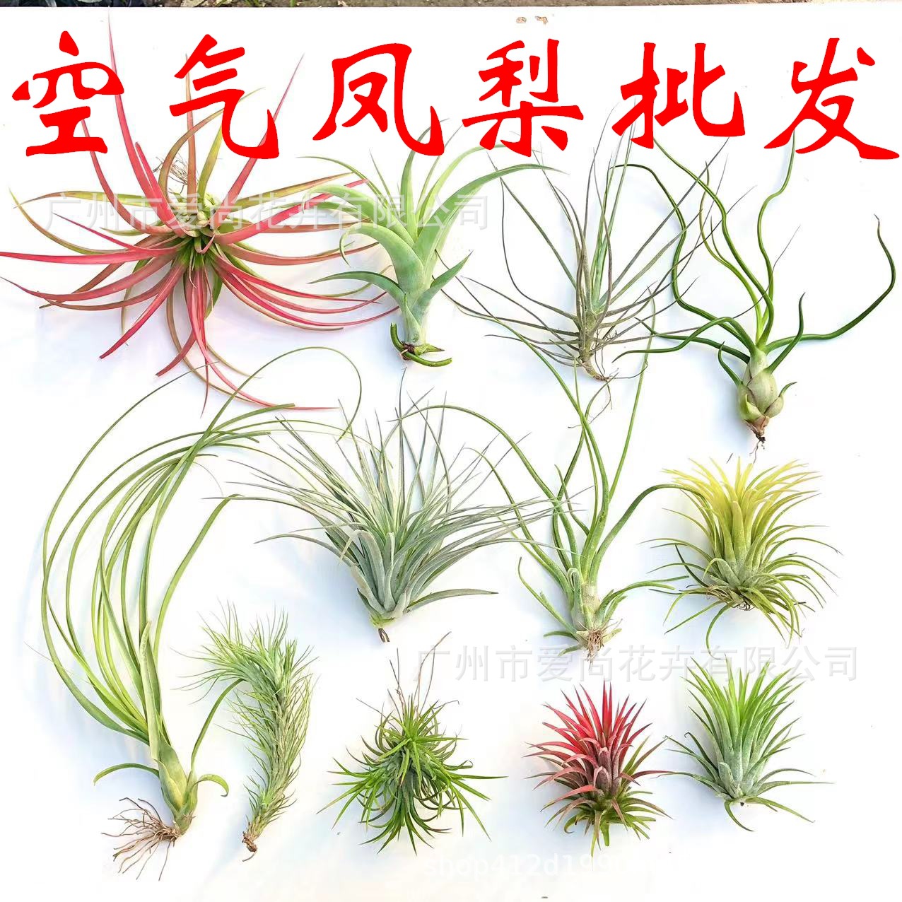 微信图片_20221106135019_看图王