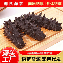 即食海参大连辽参软糯口感冷冻500g水产品海参鲜滋补鲜冻锁鲜