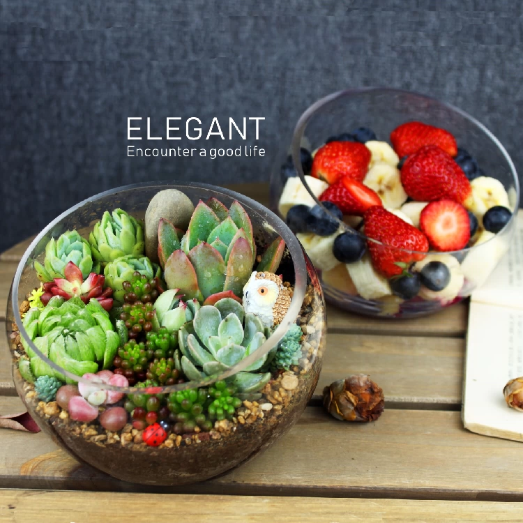 Творческий полусферный стеклянный соус для салатника миска с мясом цветочный горшок прозрачная гидропонная почва с отверстиями для воды микро-ландшафта