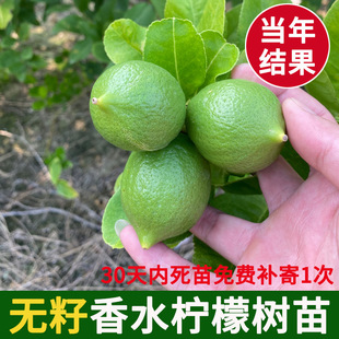 �V�|��ˮ���ʘ����ļ��Y��̨�������˟o�љ����������̨ͥԺ����