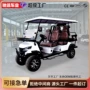 电动摆渡旅游景区球车