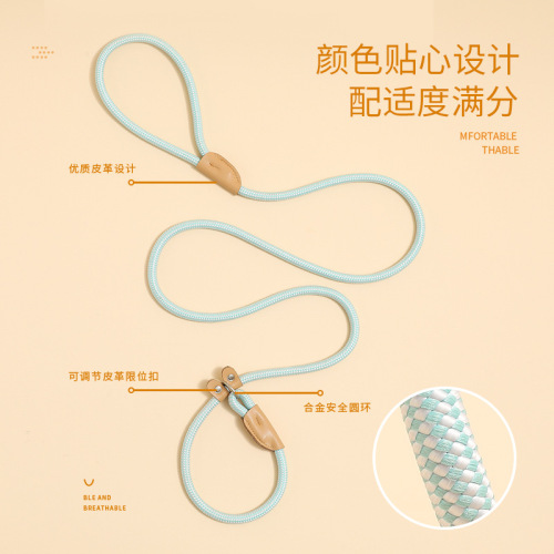 Cross-border dog leash, universal safety buckle for medium and large dogs, dog chain collar, dog walking P chain, pet supplies wholesale