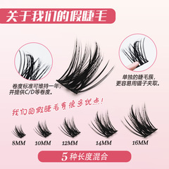 歐美跨境DIY分段式大容量單簇自然仿真柔軟日常妝嫁接假睫毛套裝