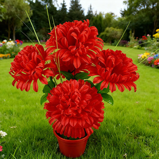 �������滨�S�����l�������������߾ջ����^�����ս������N���滨