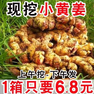 ���F�ڬF�l���������l���С�S�����r�۽��Ͻ����ӽ��r���߲˰��]