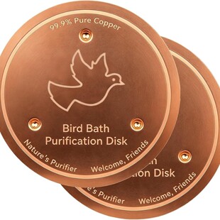 ���R�d������ƷBird Bath Disk�Bˮ���坍���~�|�A�P
