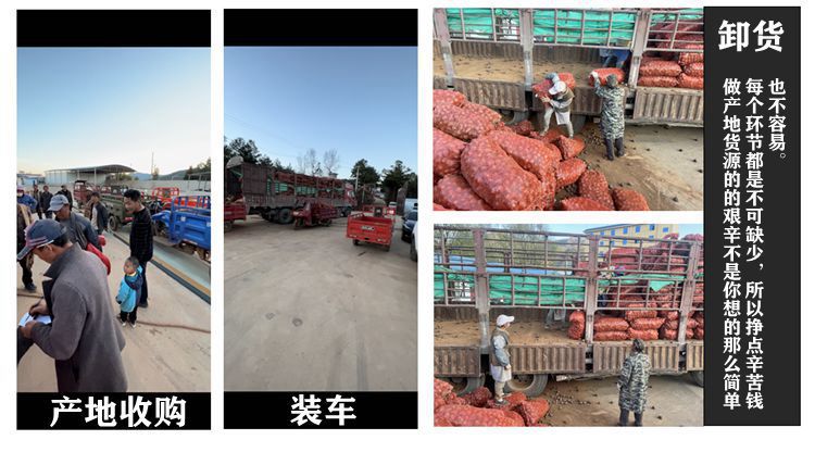 未命名_副本.jpg99_副本