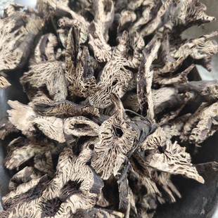�����l���� ���� ��؛���� ������ �a��؛Դ �нӴ�؛ ����ă�