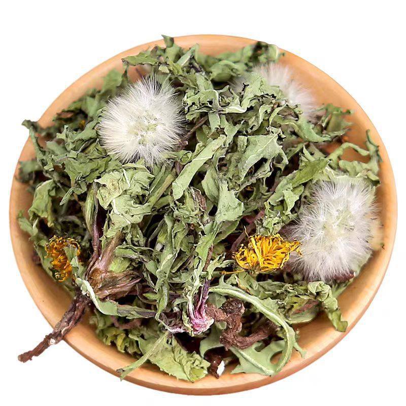 Wild Dandelion Herb Pu Gong Ying Dried Whole Plant for Herbal Tea and Decoction 500g preparation