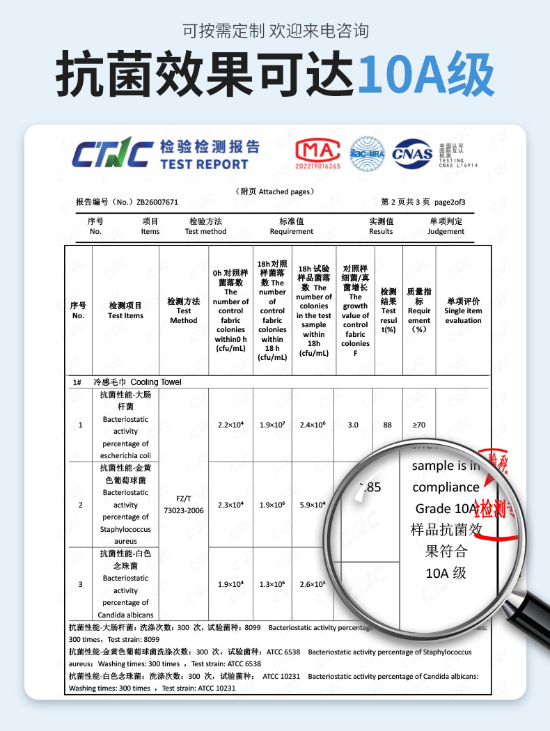 报告