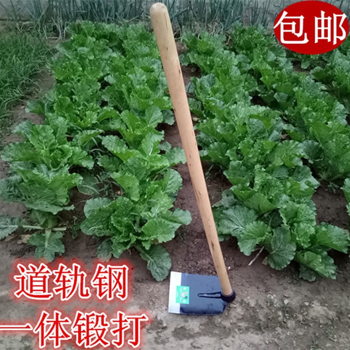 种菜锄头长锻打老式大号农用工具锄头木柄农具除草园艺开山翻地宽