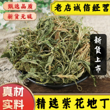 中药材精选新货紫花地丁犁头草地丁草地丁箭头草地丁茶泡水中草药