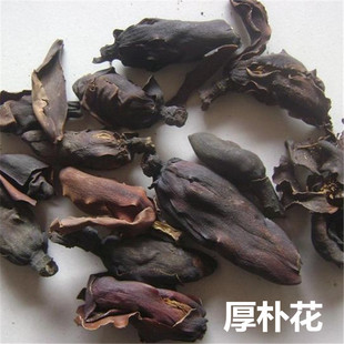 ��ș�����l���ӻ� ���� ��Ƥ ���� ��Ƥ ����ă� ���|�y؛���]