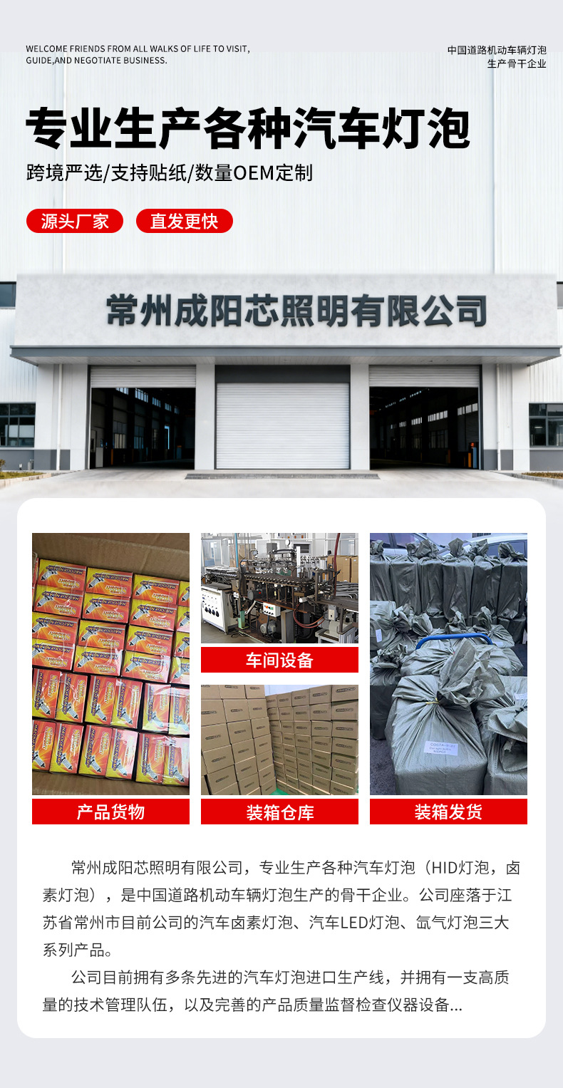 Directly supplied by the manufacturer: collection of car front headlights, high beam bulbs 12v55w24v100w, high-brightness car headlight bulbs