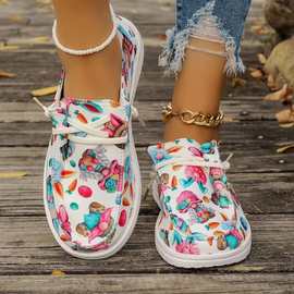 春季跨境大码休闲平底鞋休闲系带花布帆布鞋女士休闲布鞋懒人鞋