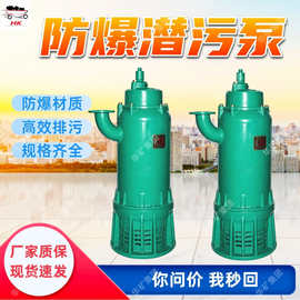 防爆潜污泵 防爆材质 规格齐全 50WQB15-22-2.2防爆潜污泵
