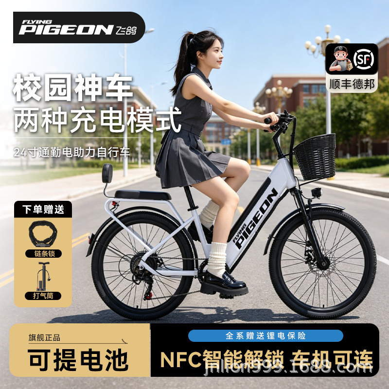 Batería desmontable de paloma de vuelo eléctrica de litio para bicicleta de montaña vehículo eléctrico ligero de asistencia para hombres y mujeres