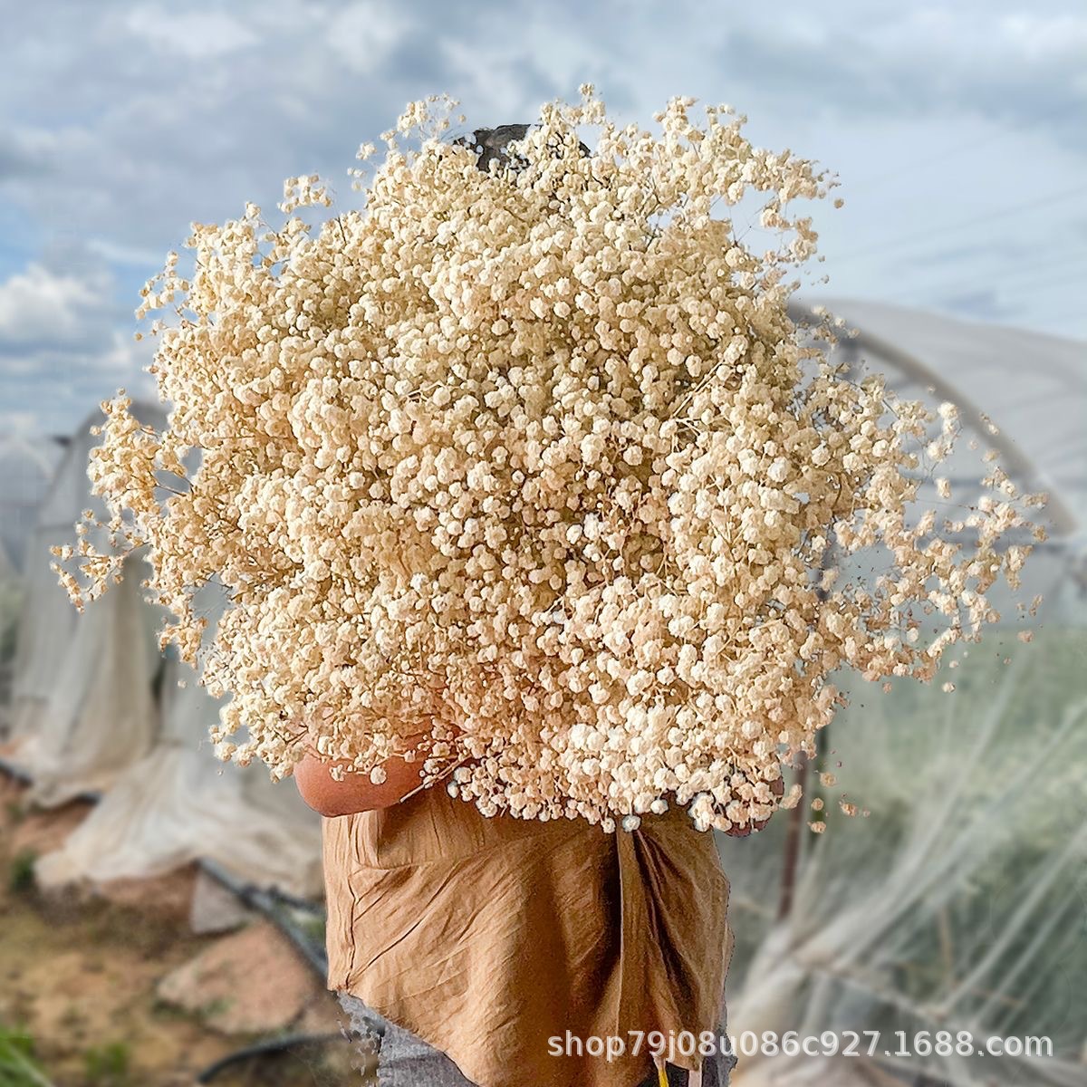 황백색(450g)±30g