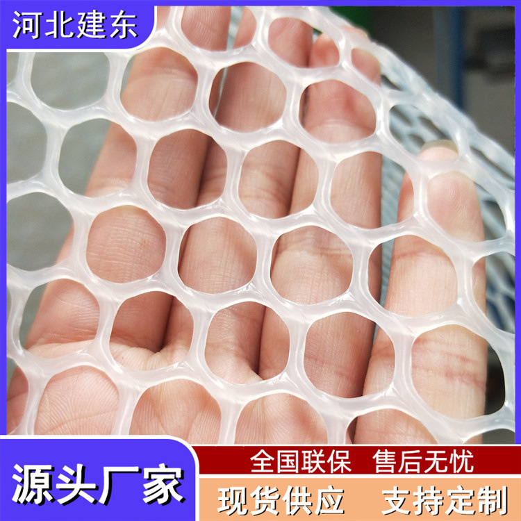 现货加厚塑料平网家用养殖隔离过滤塑料网片轻便PE防坠漏专用网