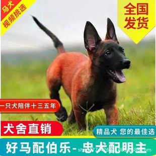 �����r�RȮ��Ȯ���w�����N�t�R����Ȯ��Ȯ�o�lȮ���l����Ȯ����