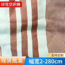 厂家供应供应长兴全涤涂料印花磨毛布 印染交织棉春亚纺现货批发