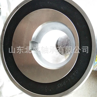 ZWZ瓦轴工艺特大SL圆柱满装滚子机床专用轴承BSKJ32/40传动