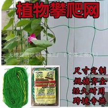 Դ�^���Sֲ��@ˇ���پW�����S�����ٴ�ܾW�ӏ��������W�����W