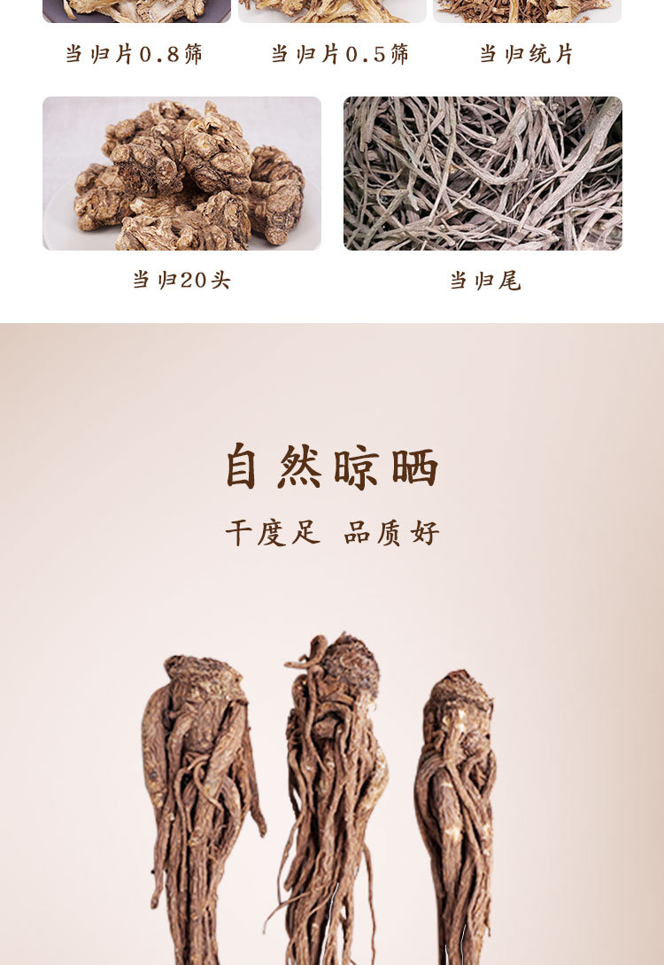Dried Angelica Slices Dang Gui Whole Root 500g Loose Bulk Traditional TCM Herb for Decoction and Soup overview