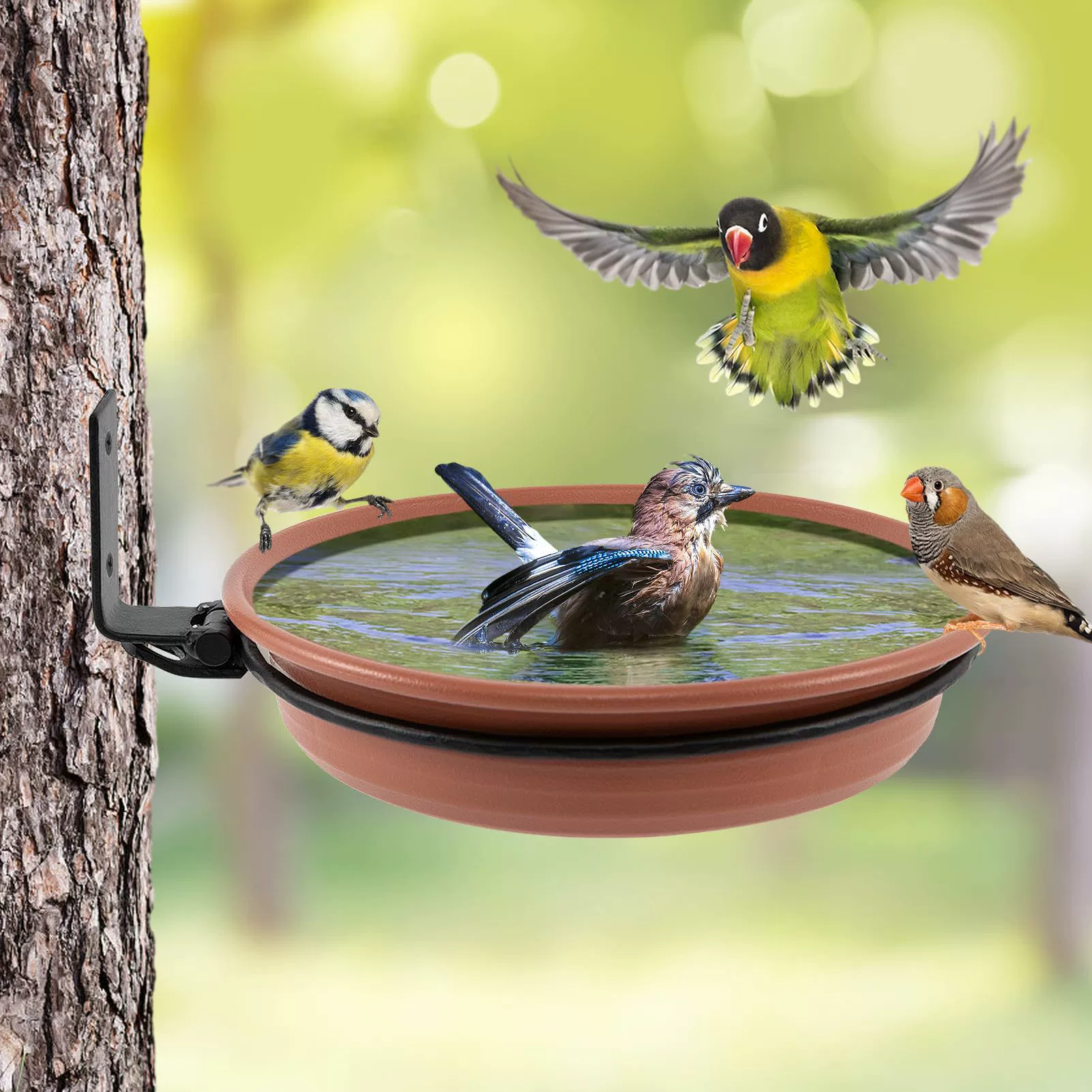 Трансграничные взрывные птичьи бани открытый сад декоративный двор колибри хищник птиц кормушка для птиц