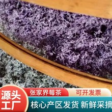 2025²ѿ^ҽɫѿ^ٲݮֱѿ^ݮ