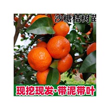 �V�����ڼ޽ӟo��ɰ�ǽۘ������Ե����ϱ���������o�˹������ͺ�