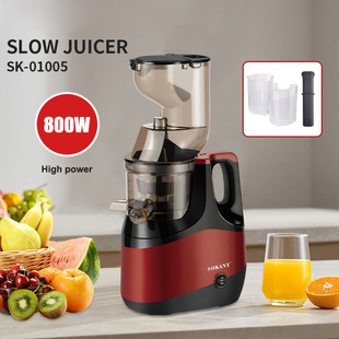 Cross-Border European Standard Large-Caliber Slow Juicer 800W Multi-Functional Household Juicer Residue Juice Separation Slow Juicer
