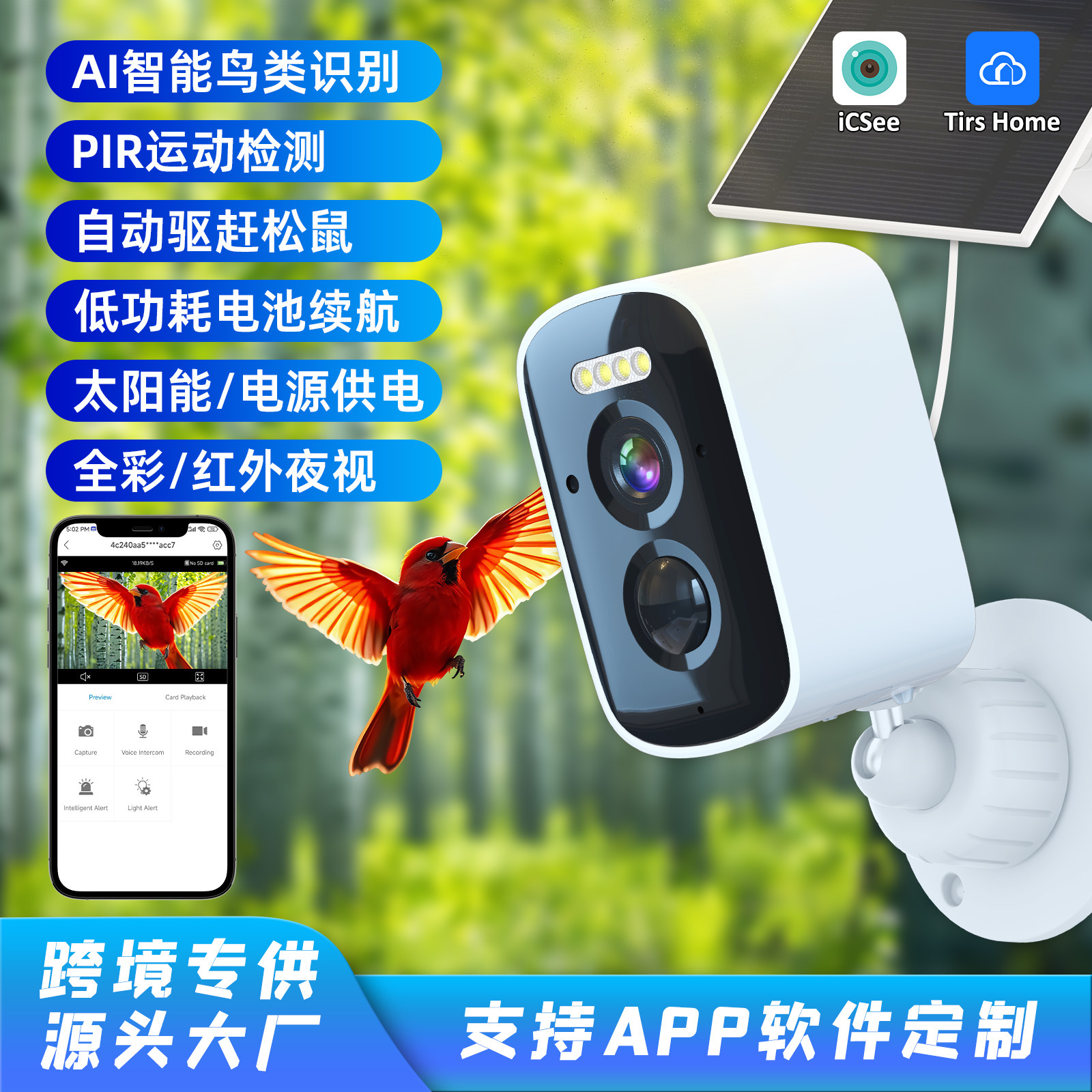 Cámara inteligente para comederos de pájaros de 5MP con reconocimiento de aves por IA, desarrollo de software y hardware, superventas de fábrica, monitor icsee