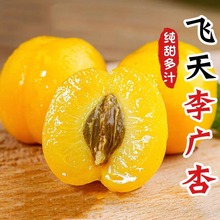 �Fժ�ػ���V�����rˮ���ЋD�������䮔���r��ػ�������ˮ������