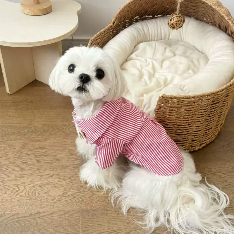 宠物服装狗狗猫咪衣服黑白蓝条纹款狗狗潮牌裙子夏季薄款透气衣服