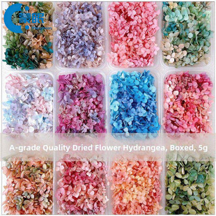 �羳���N�ɻ�����������u׃ɫ�ֲ��ϰ��NĘ��Ь�����ֈF����ӻ�