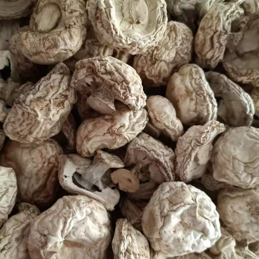 散装磨菇干货食用菌白蘑菇口蘑菌菇炖汤干货批发 量大从优