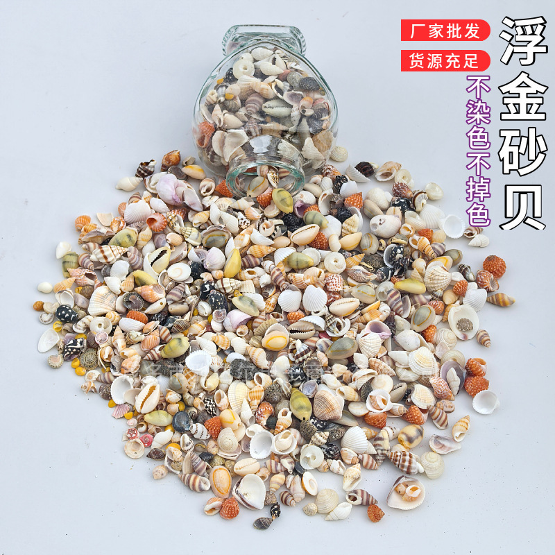 Shells and Conches Sold by the Pound, Floating Gold Sand Shells Mixed with Shell Sand, Handmade DIY Table Setting to Make Drift Bottles Shells and Conches Sold by the Pound, Floating Gold Sand Shells Mixed with Shell Sand, Handmade DIY Table Setting to Make Drift Bottles