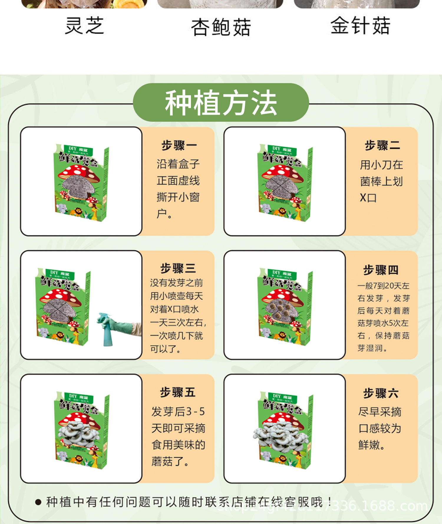 详情图