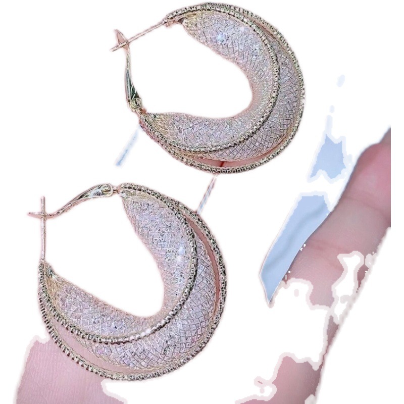 Metal Mesh Earrings Small Hoop Earrings 2023 New Fashionable Korean Internet Celebrity Elegant High-grade Circle Earrings