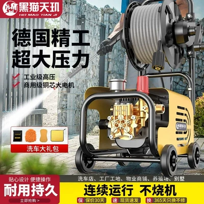 Gun for Home Use 220V Car washing machine