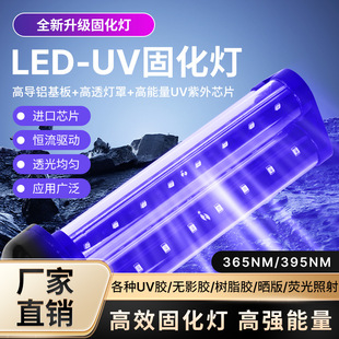 E27 Insect Trap Lamp Tube LED Purple Light Band 365 395NM DC12V Applicable Solar Agricultural Insecticidal Lamp