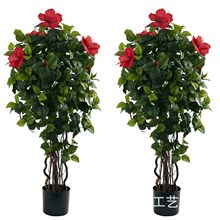 XT�S��ֱ�N���ͷ��滨�ѻ��٘�ͥԺ�b��������Gֲ�Sβ����