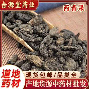 �������ș�����l ����� ë�X�� �ϙ�� �X�� �oѬ������F؛