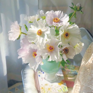 [March Flower God] Selected Oil Paintings of Peonies and Flowers for Home Hydroponic Cut Flowers, Small Fresh Flowers, Exclusive for Summer