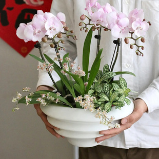 �羳���⮐�ΰ�ɫ�մɻ����ڏ�ƴ�����y�p�ݺ����m����С����